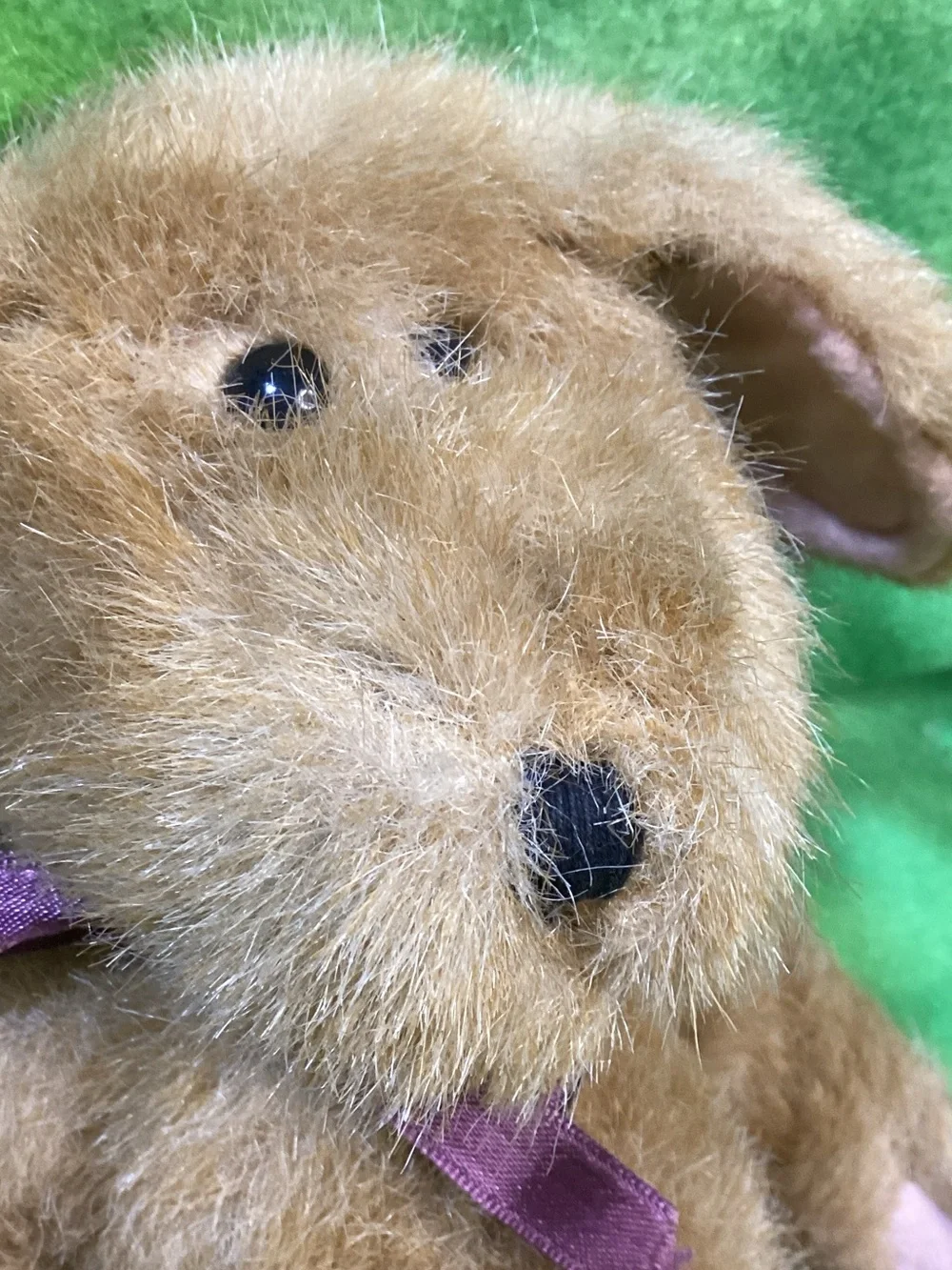 Boyds Bears are betty preowned